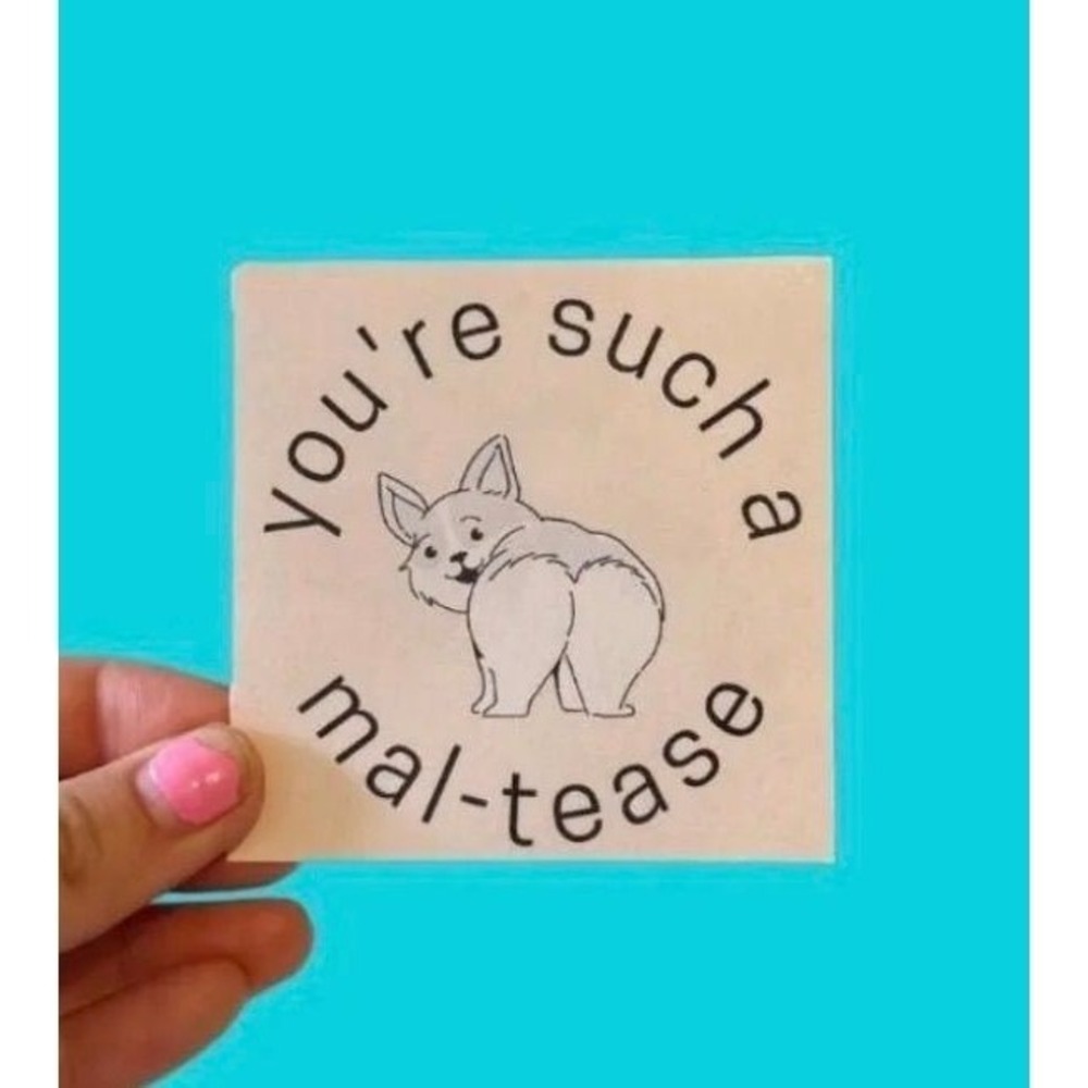 Funny Maltese Dog Sticker You're Such a Mal-tease Pun Decal Dog Lover Gift